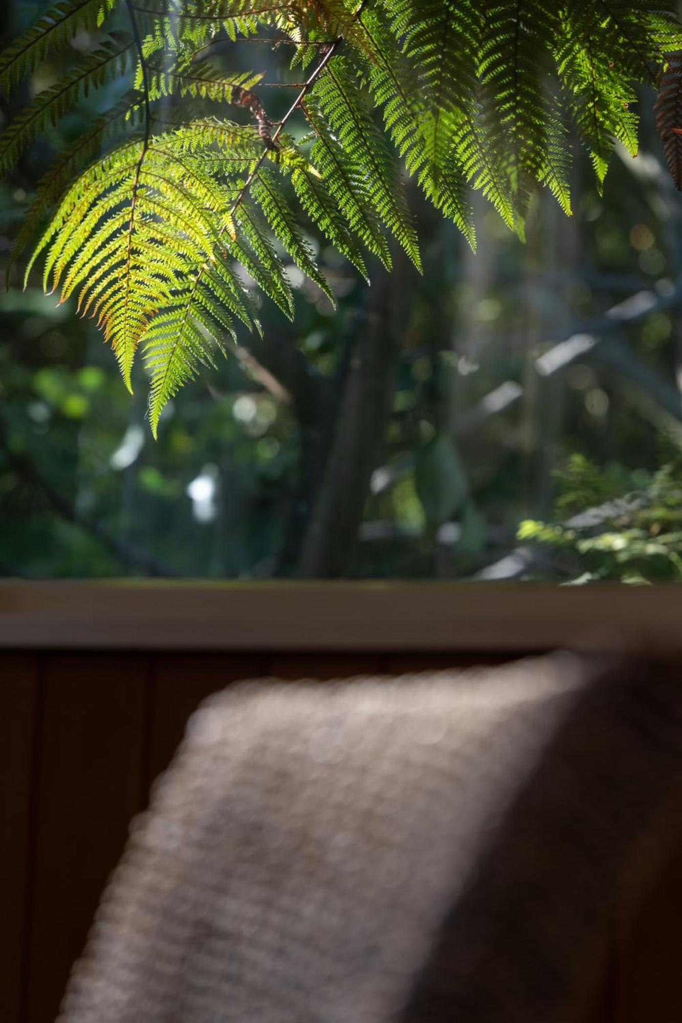 Hidden Hideaway Kaikoura Exterior foto